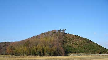 田村山東側