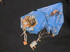 �p���V���[�g