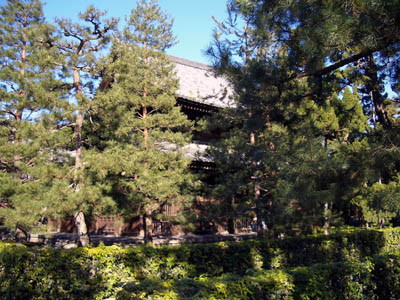 img0003.jpg