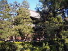img0003.jpg
