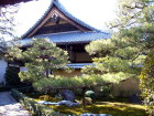 img0011.jpg