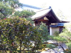 img0012.jpg