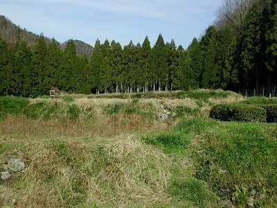 img0003.jpg