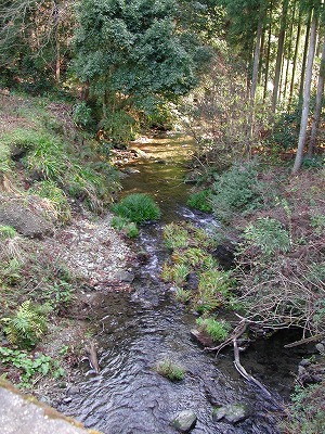 img0004.jpg