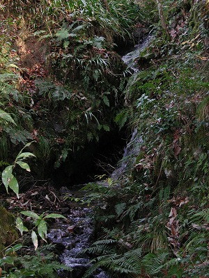 img0006.jpg