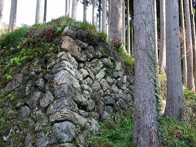 img0011.jpg