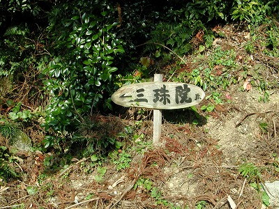 img0013.jpg