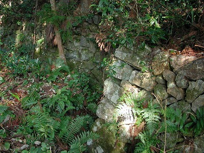 img0016.jpg