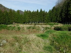 img0003.jpg