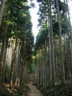 img0008.jpg