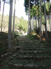 img0010.jpg