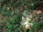 img0016.jpg