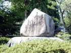 img0010.jpg