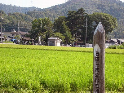 img0000.jpg