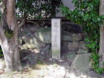 img0009.jpg