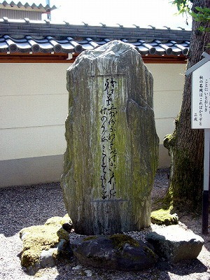 img0013.jpg
