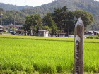 img0000.jpg