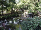img0007.jpg
