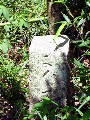 img0005.jpg