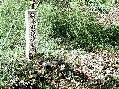 img0007.jpg