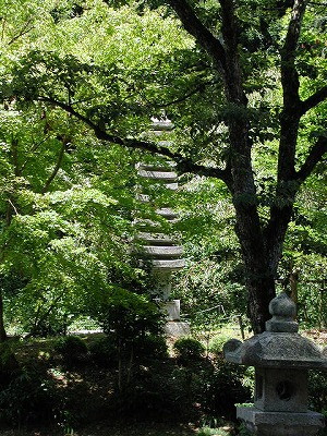 img0014.jpg