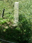 img0003.jpg