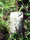 img0005.jpg