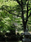 img0014.jpg