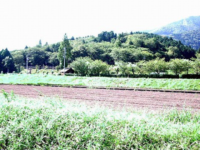 img0000.jpg