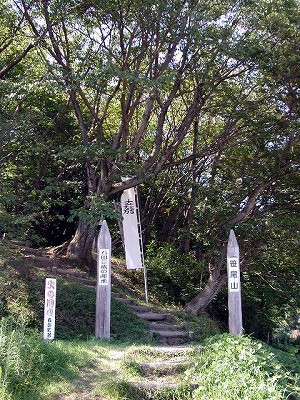 img0005.jpg