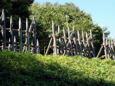 img0007.jpg