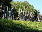 img0007.jpg