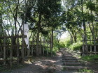 img0009.jpg