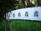 img0010.jpg