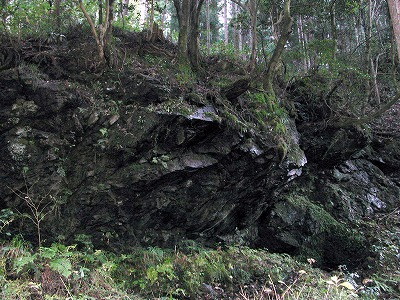 img0004.jpg