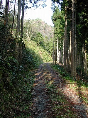 img0007.jpg