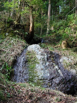 img0009.jpg