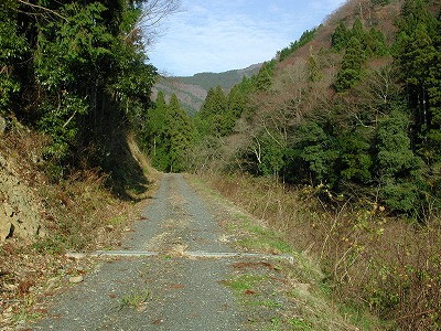img0010.jpg