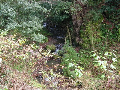 img0013.jpg