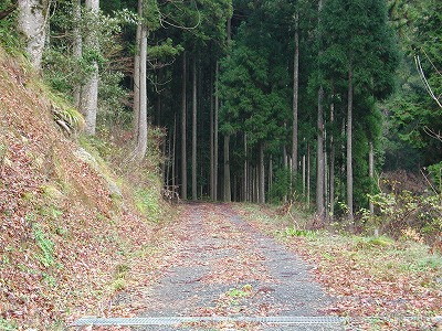 img0014.jpg