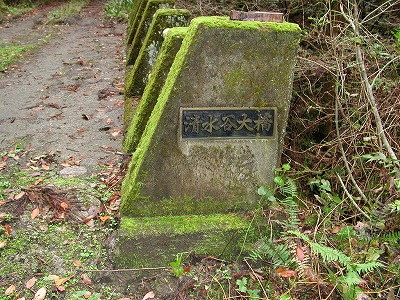 img0017.jpg