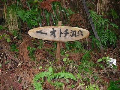 img0018.jpg
