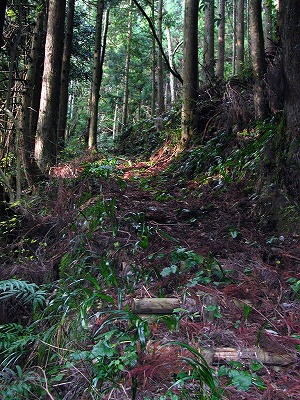 img0019.jpg