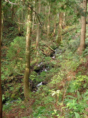 img0020.jpg