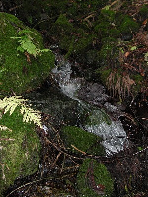 img0024.jpg