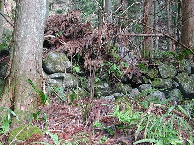 img0025.jpg
