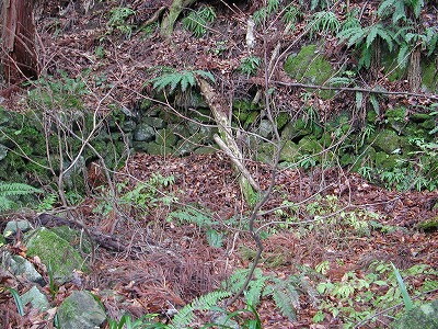 img0026.jpg