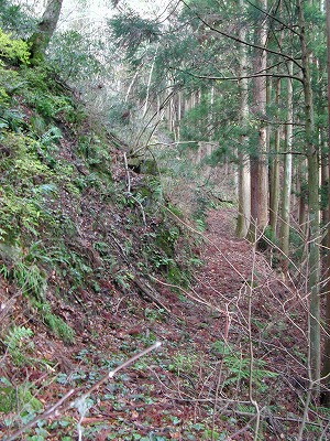 img0029.jpg