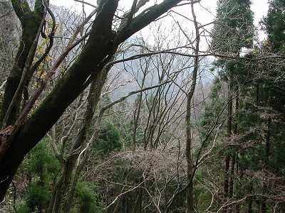 img0030.jpg