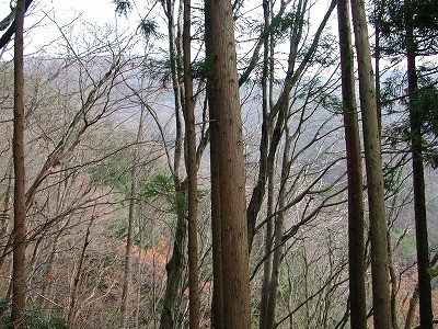 img0033.jpg